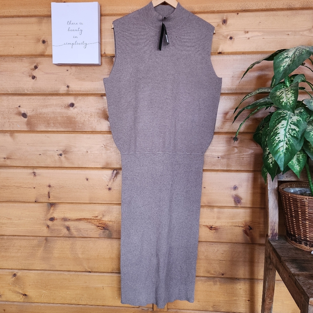 Banana Republic NWT Serene Sweater Dress Lenzing Ecovero Mock Neck‎ Blouson Sz L
